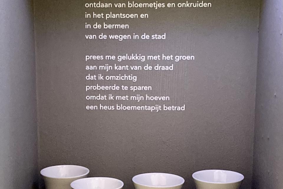 grasbekers in tentoonstelling met gedicht